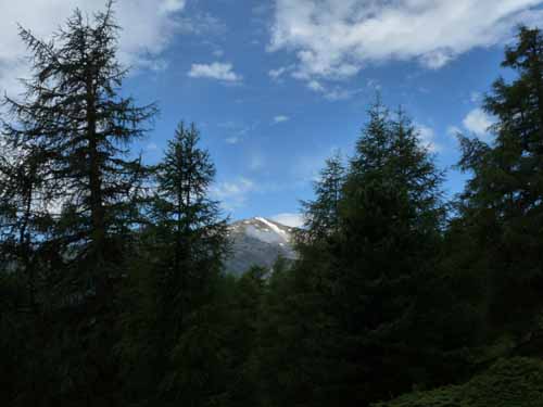 Ultental-7-Kofelraster-Seen-306