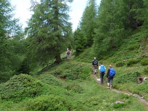 Ultental-7-Kofelraster-Seen-312