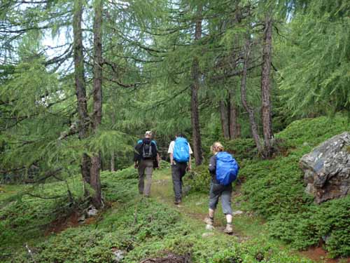 Ultental-7-Kofelraster-Seen-313