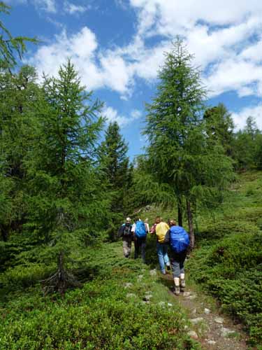 Ultental-7-Kofelraster-Seen-314