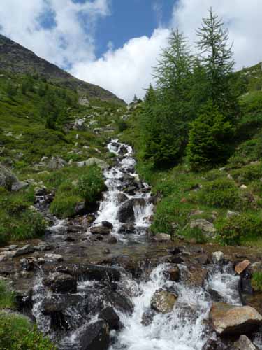 Ultental-7-Kofelraster-Seen-413