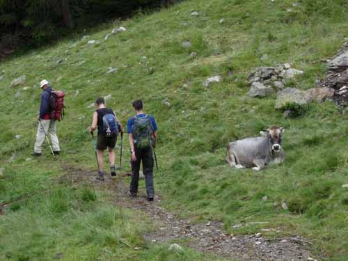 Ultental-7-Kofelraster-Seen-414