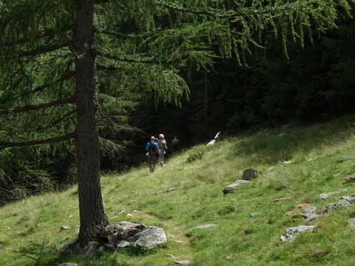 Ultental-7-Kofelraster-Seen-416