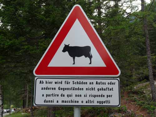 Ultental-7-Kofelraster-Seen-419