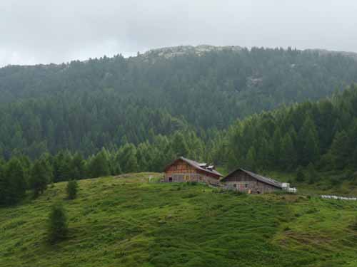 Ultental-8-Grosser-Laugen-424