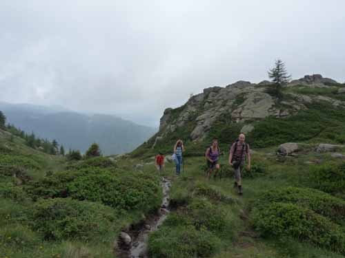 Ultental-8-Grosser-Laugen-435