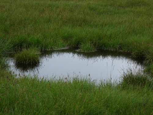 Ultental-8-Grosser-Laugen-438