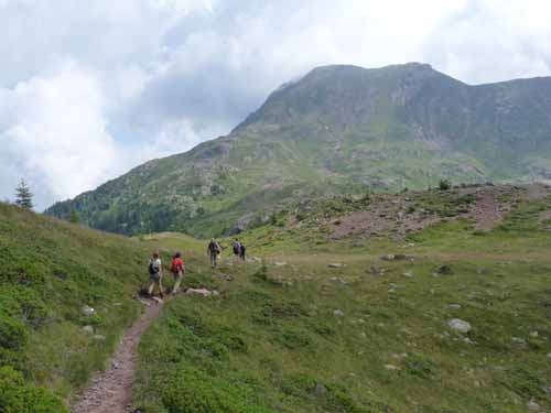 Ultental-8-Grosser-Laugen-449