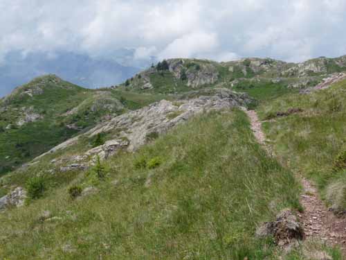 Ultental-8-Grosser-Laugen-466