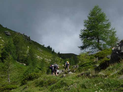 Ultental-9-Peilstein-485