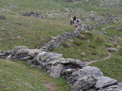 Ultental-9-Peilstein-496