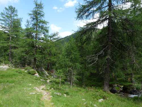 Ultental-9-Peilstein-539