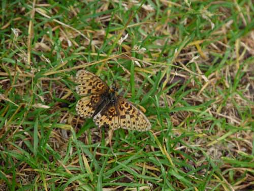 Ultental-9-Peilstein-542