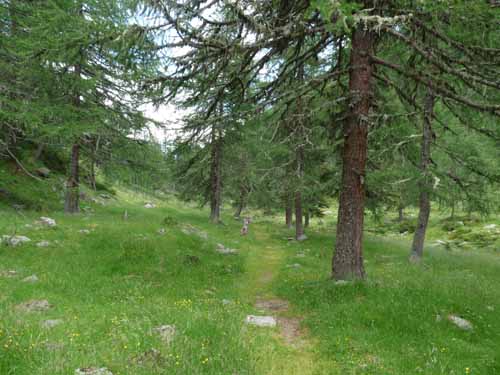 Ultental-9-Peilstein-543