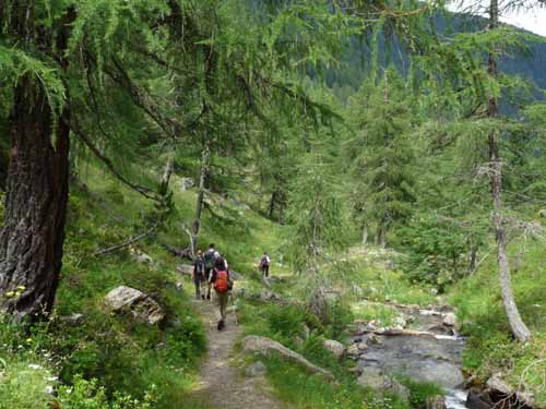 Ultental-9-Peilstein-548