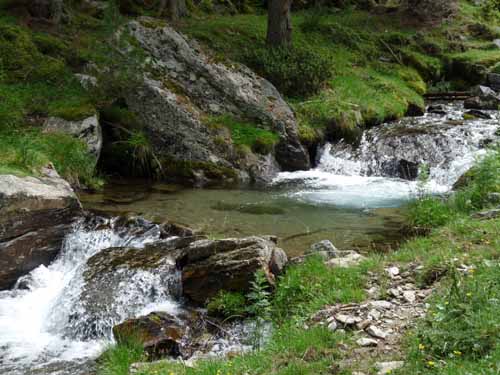 Ultental-9-Peilstein-549