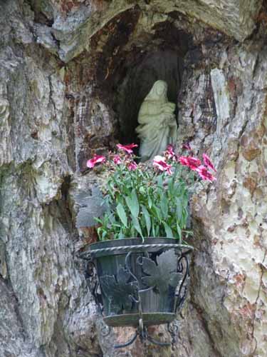 Ultental-9-Peilstein-555