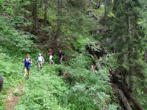 Ultental-9-Peilstein-562