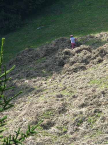 Ultental-9-Peilstein-566