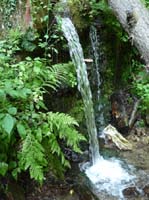 Ultental-6-Marlinger-Wege-203