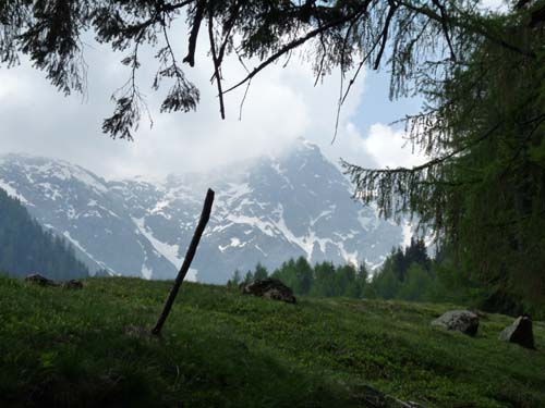 08-Pfandlalm-Spitzneralm-001