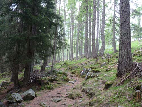 08-Pfandlalm-Spitzneralm-004