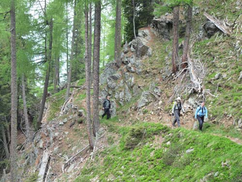 08-Pfandlalm-Spitzneralm-011