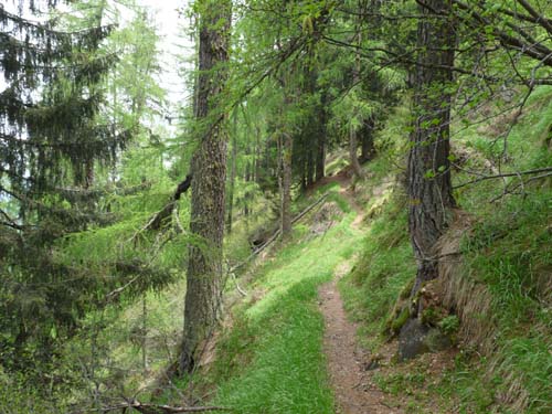 08-Pfandlalm-Spitzneralm-013