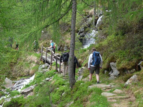 08-Pfandlalm-Spitzneralm-025