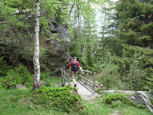 08-Pfandlalm-Spitzneralm-041