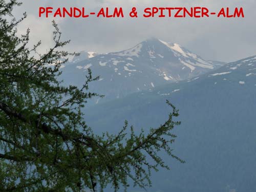 08a-Pfandlalm-Spitzneralm-000