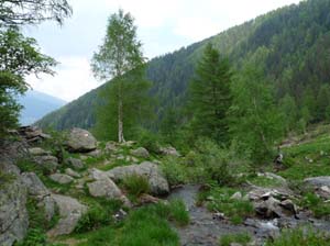 08-Pfandlalm-Spitzneralm-039