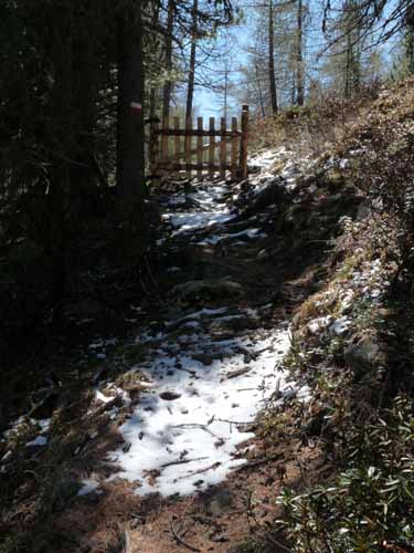 0439-Pilsbergalmen-Weissbrunnsee