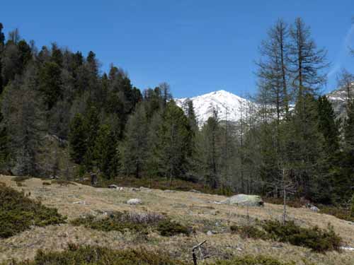 0442-Pilsbergalmen-Weissbrunnsee