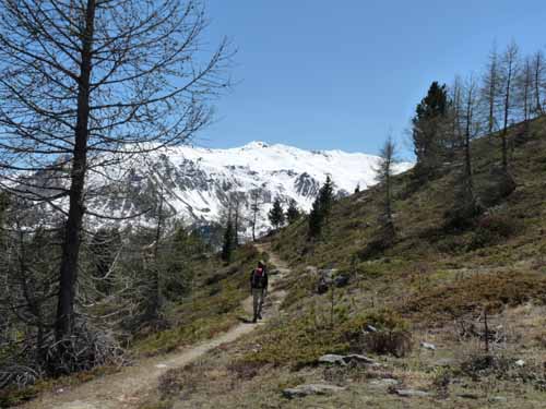 0464-Pilsbergalmen-Weissbrunnsee