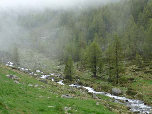 03-Pilsbergalmen-Weissbrunnsee-008