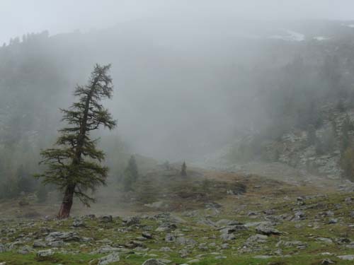 03-Pilsbergalmen-Weissbrunnsee-025