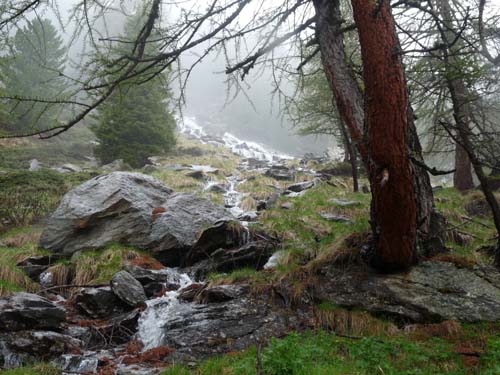 03-Pilsbergalmen-Weissbrunnsee-038