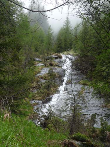 03-Pilsbergalmen-Weissbrunnsee-060