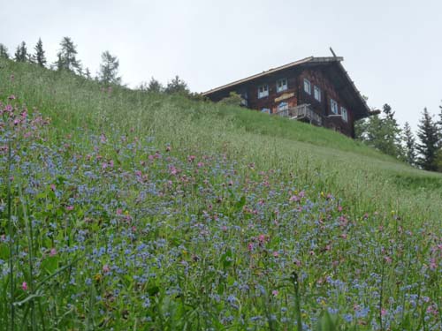 03-Pilsbergalmen-Weissbrunnsee-066