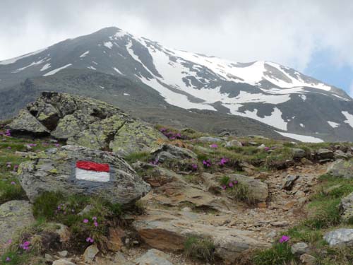 09-Steinrast-Koflraster-Seen-Sirmian-010