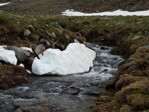 09-Steinrast-Koflraster-Seen-Sirmian-012