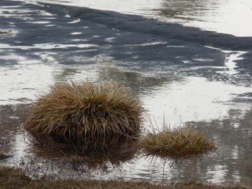 09-Steinrast-Koflraster-Seen-Sirmian-033