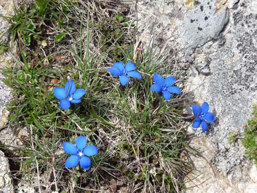 09-Steinrast-Koflraster-Seen-Sirmian-096