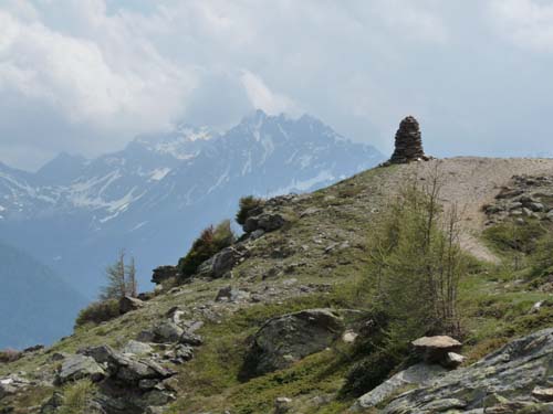 09-Steinrast-Koflraster-Seen-Sirmian-121