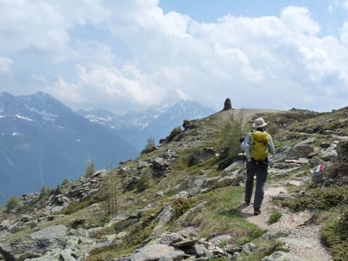 09-Steinrast-Koflraster-Seen-Sirmian-122