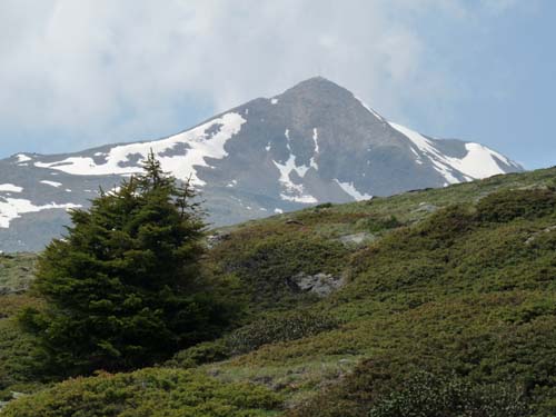 09-Steinrast-Koflraster-Seen-Sirmian-132