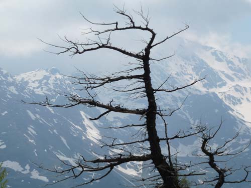 09-Steinrast-Koflraster-Seen-Sirmian-140