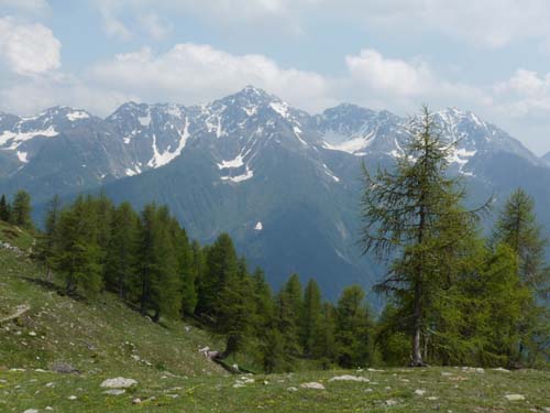 09-Steinrast-Koflraster-Seen-Sirmian-145