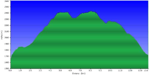 09a-Steinrast-Koflraster-Seen-Sirmian-Profil